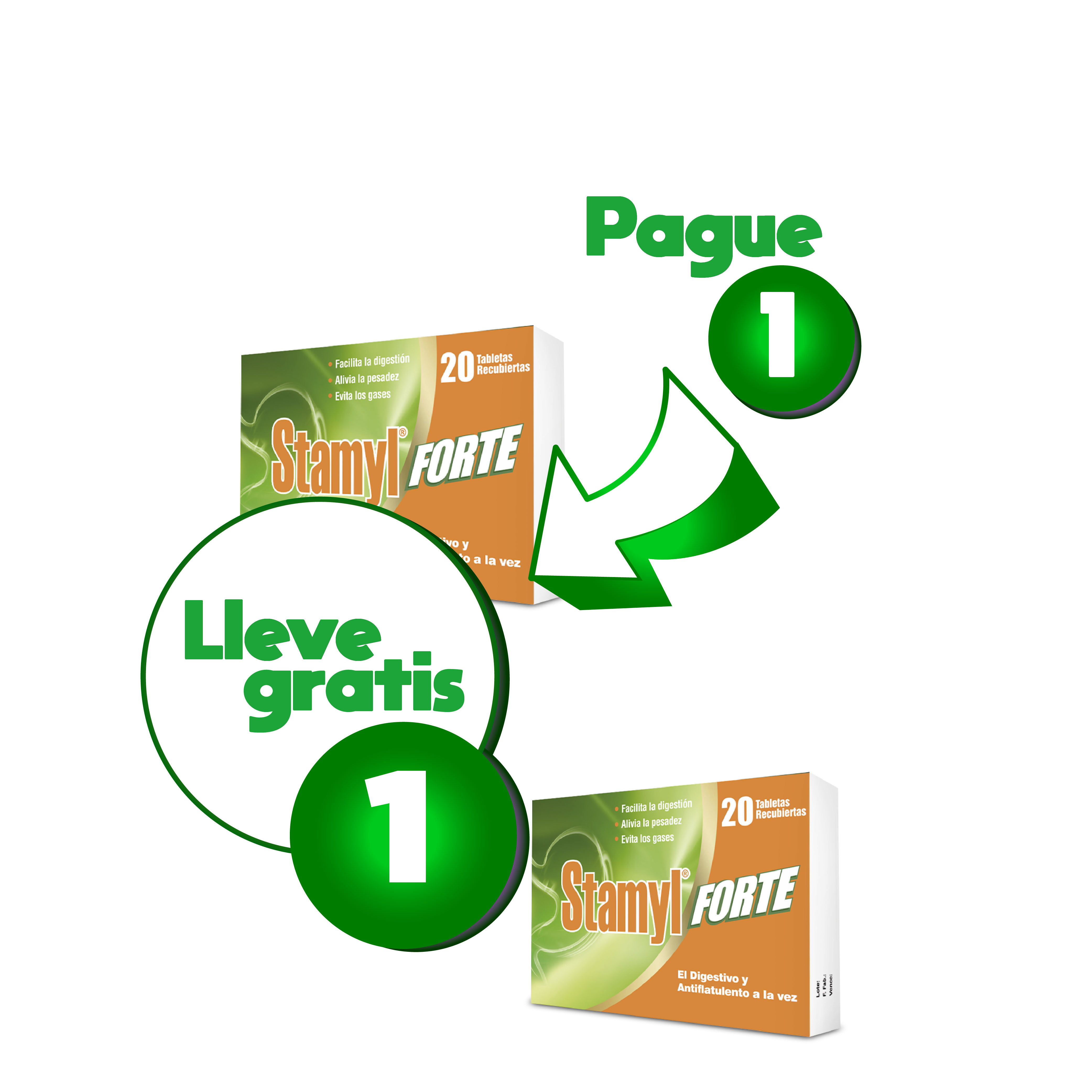 Por Compra de 1 STAMYL FORTE Lleva Gratis  1 de la misma referencia 