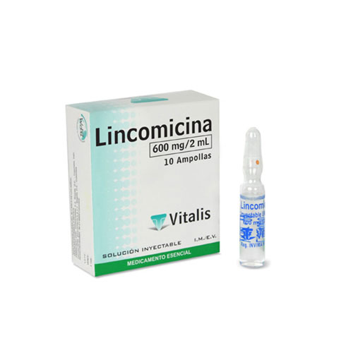 LINCOMICINA 600 MG/2ML VITALIS CAJA X  10 AMPS