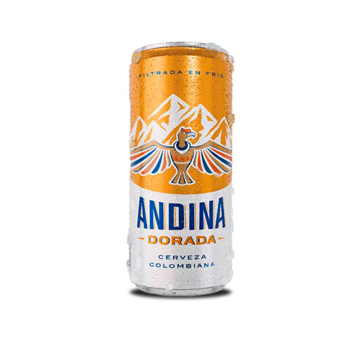 CERVEZA ANDINA LATA X 310 ML